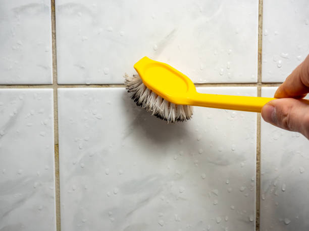 Best Black Mold Removal  in Walnut Grove, GA
