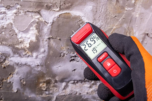 Mold Testing and Removal in Walnut Grove, GA